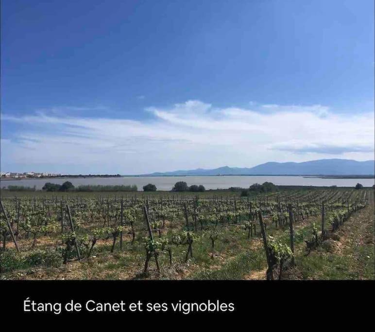 Coquet Appartement Canet-en-Roussillon Exterior photo